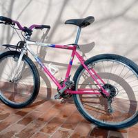 specialized hardrock 1989 custom