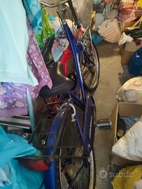 Bicicletta funzionante