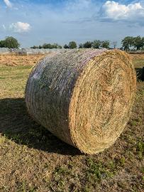 Balloni di erbamedica