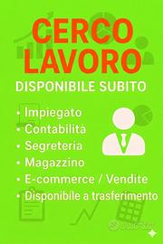 Impiegato multisettore contabile segreteria altro