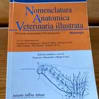 Nomenclatura Anatomica Veterinaria illustrata