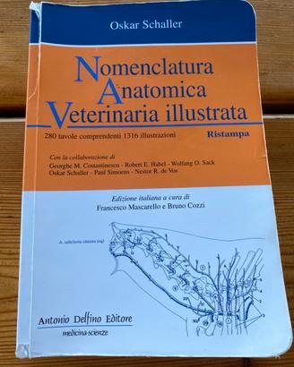 Nomenclatura Anatomica Veterinaria illustrata