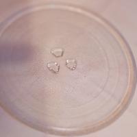 piatto microonde girevole