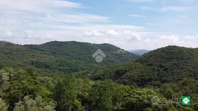 TER. AGRICOLO A PERUGIA