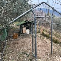 Galline   pollaio voliera  box con rete