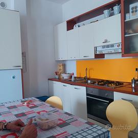 cucina con elettrodomestici 