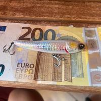 Artificiali pesca