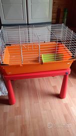 gabbia per coniglio/cricieti