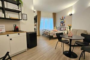 Appartamento di 33 m² con 1 locale a Roma