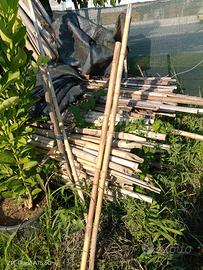 CANNE DI BAMBÙ pali per orto giardino