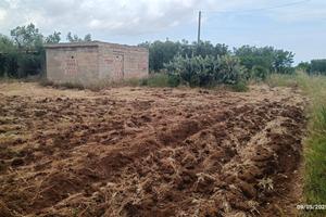 Terreno agricolo a 1500mt da bitritto