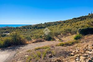 TER. AGRICOLO A IMPERIA