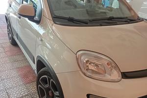 panda ibrida 