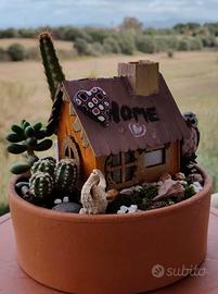 Casetta in miniatura con piantine grasse 