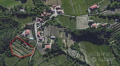 Terreno in Loc. Giuliano - Subbiano (AR)