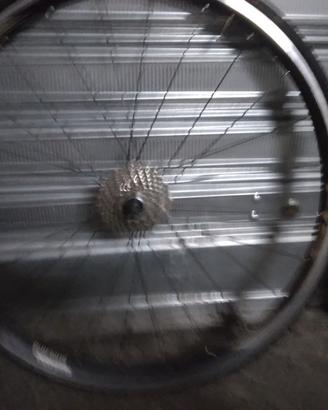 ruote bici da corsa 
