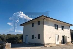 Terreno Con Uliveto In Contrada Petulenti