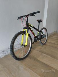 bicicletta
