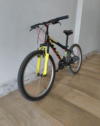 bicicletta