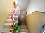Immagine 29