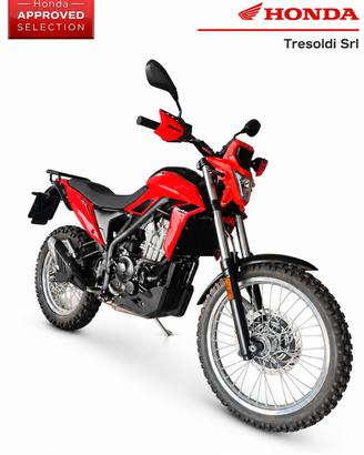 Beta Alp 4.0