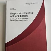 Manuali Il rapporto di lavoro nell'era digitale