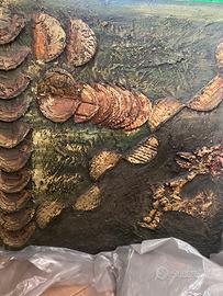 Quadro autore Pascal tecnica personale