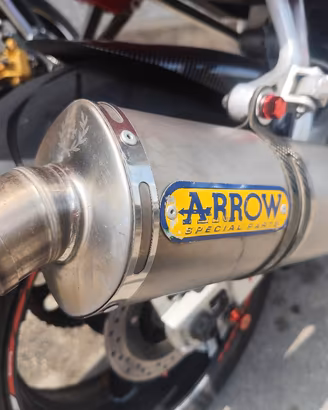 marmotta Arrow 
