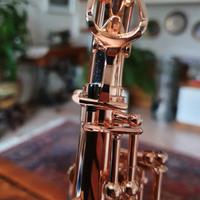 sax soprano Yanigisawa W020 GOLD 