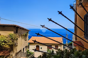 5 LOCALI A SCILLA
