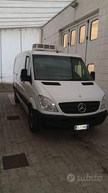 Mercedes Sprinter 311cdi Frigo Carrier