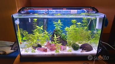 Acquario Ferplast 40 litri