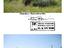 Immagine 8