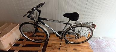Bicicletta da Uomo