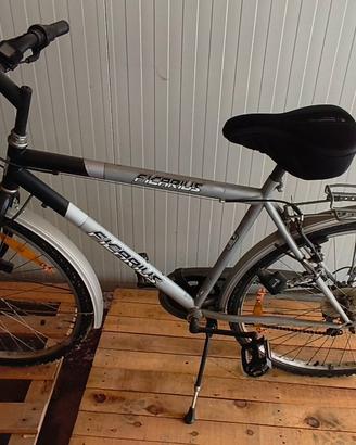Bicicletta da Uomo