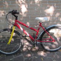 Mountain bike da ragazzo