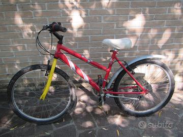 Mountain bike da ragazzo