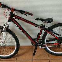 bicicletta 26 pollici ragazzo