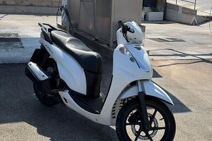 Kit carene sh 300 2010