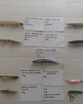 Artificiali pesca spinning set 2