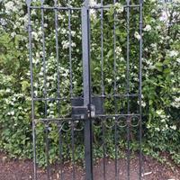 Cancello ferro battuto 