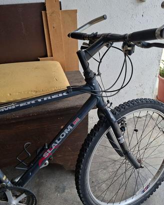 Bicicletta Uomo