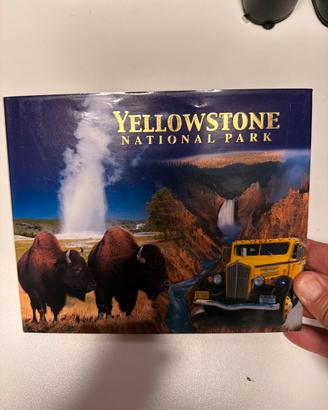 Yellowstone National Park