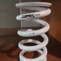 Molla mono ammortizzatore mupo ab1 95