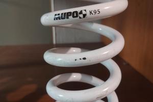Molla mono ammortizzatore mupo ab1 95