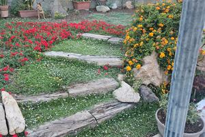 La casa: Le Pietre di Mario