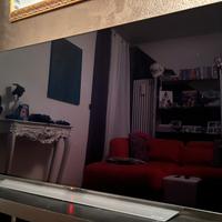 LG OLED 48”