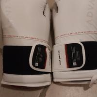 Guantoni kick boxing 12oz