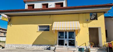 Cessione tabaccheria alimentari