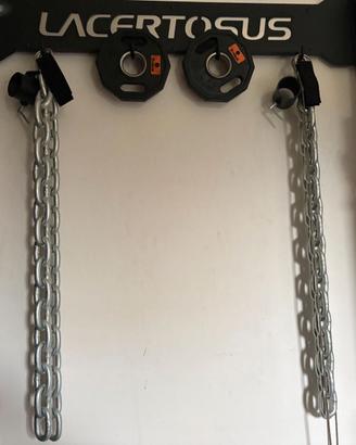 Catene Sollevamento Pesi Lacertosus 12 kg (Coppia
